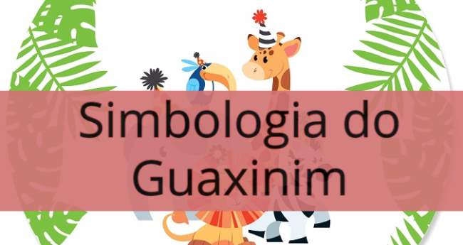 Simbologia do Guaxinim