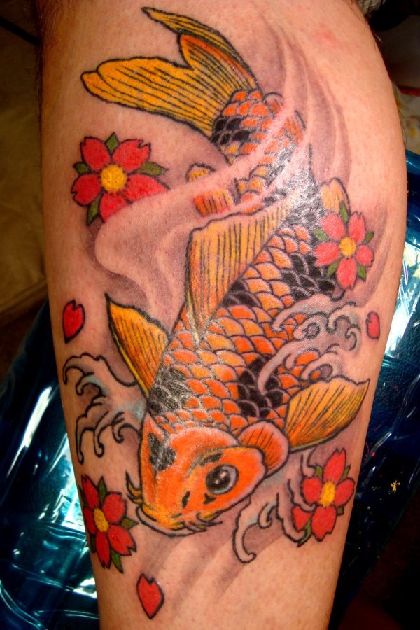 62 Tatuagens do peixe Koi: Galeria de fotos