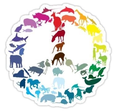 5 Animais que simbolizam paz e esperança