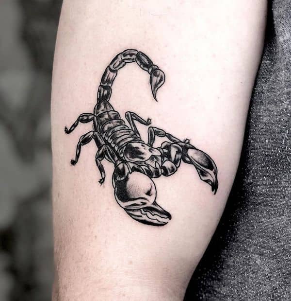 tatuagem signo escorpiao 62